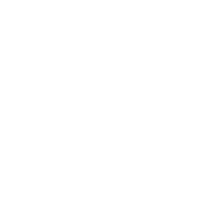 E-commerce icon